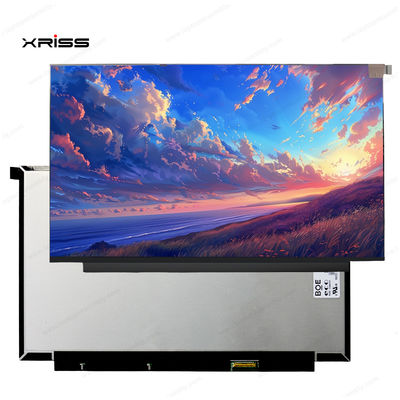 คุณภาพ  13.3 Inch Touch Screen For Lenovo ThinkBook 13x ITG Notebook PC Digitizer Assembly Replacement โรงงาน